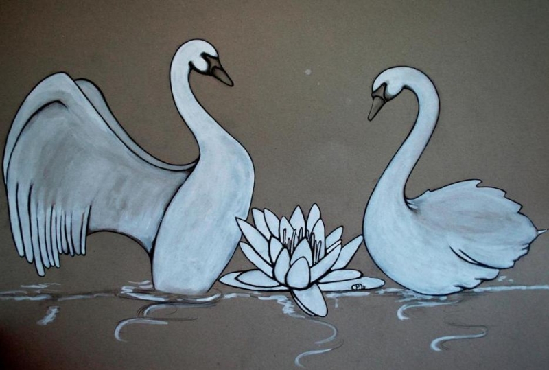 Swans 
