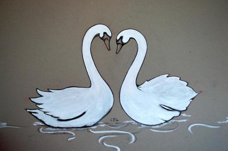 Swans 