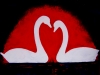 Swans 