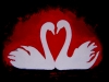 Swans 