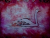 Swans 