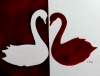 Swans 