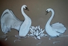 Swans 
