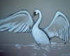 Swan