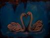 Swans